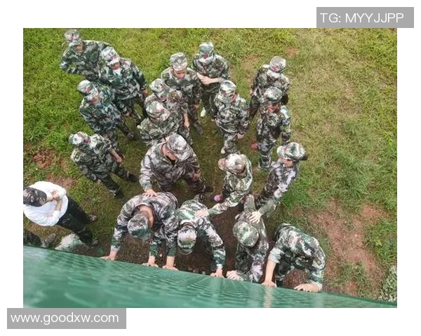 许嘉阳的成长之路与奋斗故事：从平凡到卓越的蜕变历程