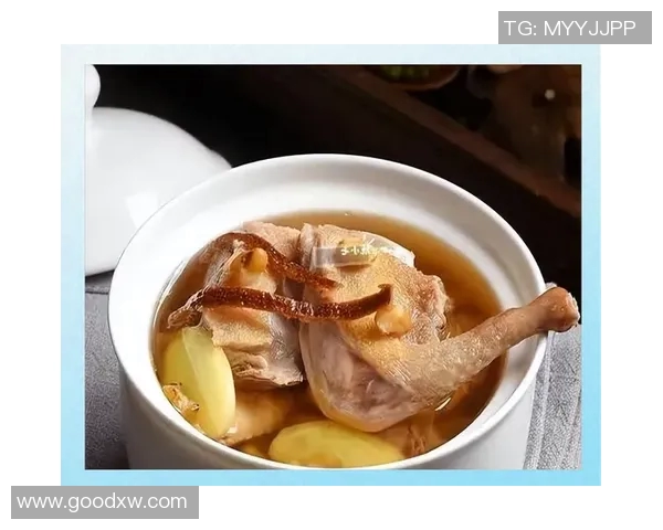 探索G6汤的独特魅力与健康益处，揭示其背后的传统与现代烹饪艺术