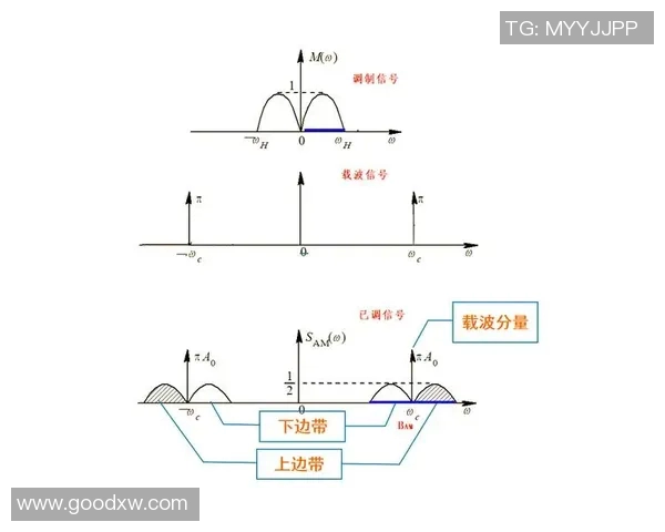 深入解析am与vs的含义及其在不同语境中的用法与区别