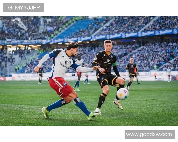 贺芬咸与汉堡的激烈对决揭示德甲争冠新态势 贺芬咸与汉堡的激烈对决揭示德甲争冠新态势